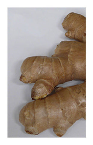 Ginger root 2 oz. Bulk Herb