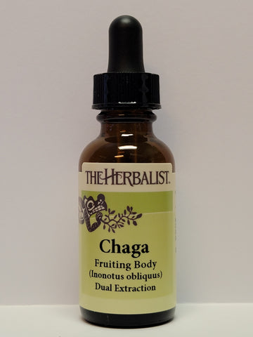 Chaga fruiting body Liquid Extract