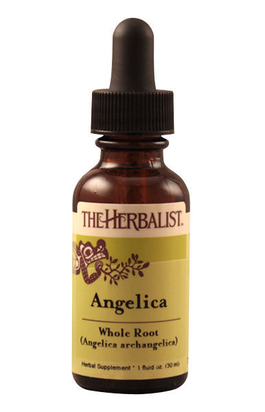 Angelica root  Liquid Extract