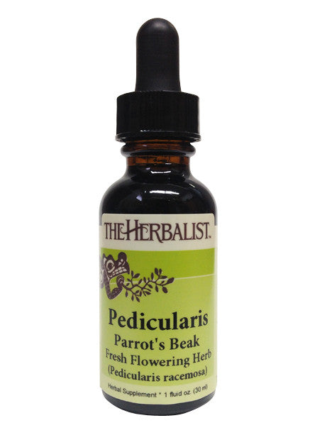 Pedicularis Liquid Extract