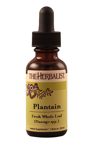 Plantain herb Liquid Extract