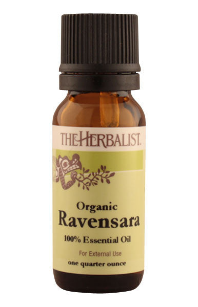 Ravensara Essential Oil 1/4 oz. - Wild  Crafted