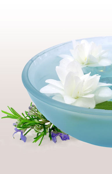 Self-Heal 1/4 oz. Flower Essence
