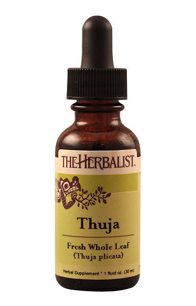 Thuja leaf Liquid Extract