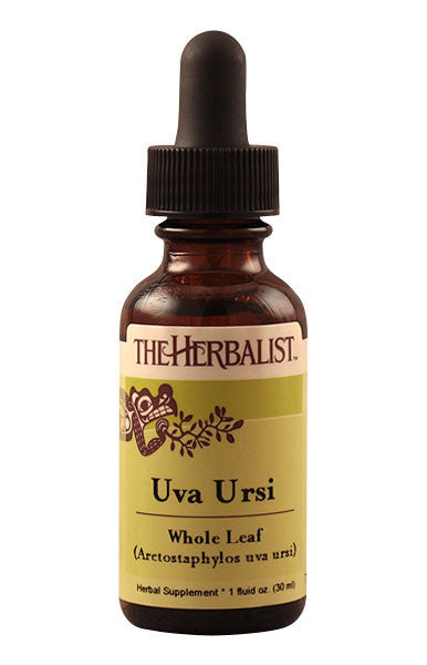 Uva Ursi leaf Liquid Extract