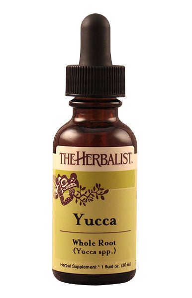 where can i buy yucca root Yucca root Liquid Extract